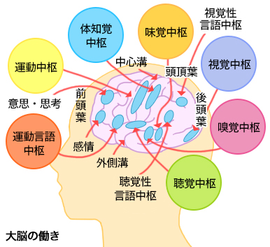 脳 梗塞 後遺症