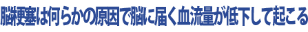 脳梗塞は何らかの原因で脳に届く血流量が低下して起こる