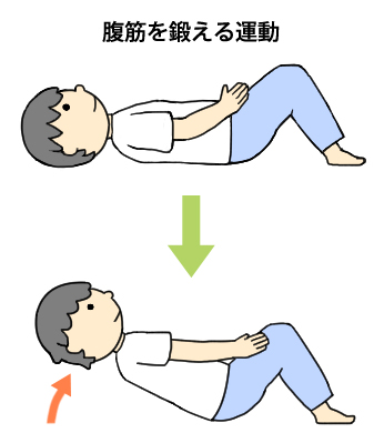 腹筋を鍛える体操の図