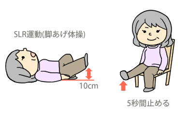 膝の運動の図