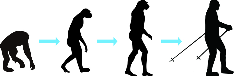 人類の進化画像